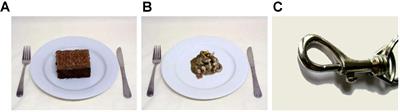 Temporal Processing of Joyful and Disgusting Food Pictures by Women With an Eating Disorder